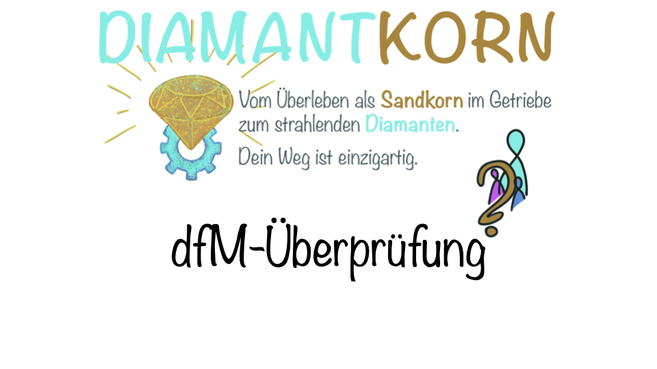 dfM 06 Überprüfung